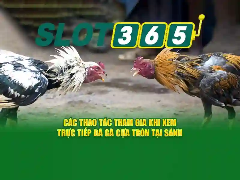 <!--IMG_PLACEHOLDER alt>Nguồn gốc và sứ mệnh slot365. com-->