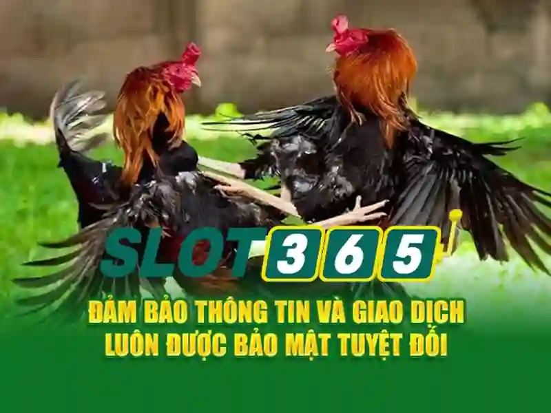 Trò chơi đa dạng và chất lượng