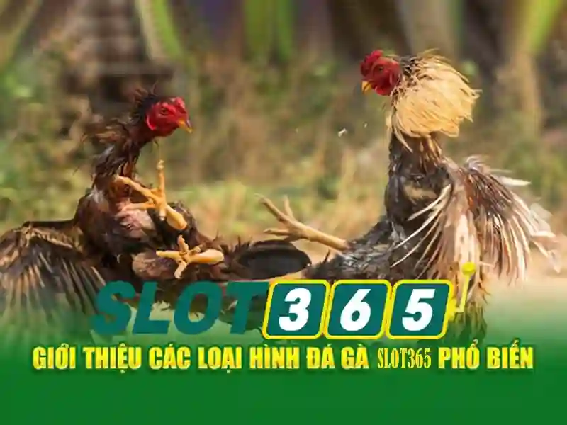 Slot365: Khám phá nền tảng trò chơi slot trực tuyến an toàn và thú vị