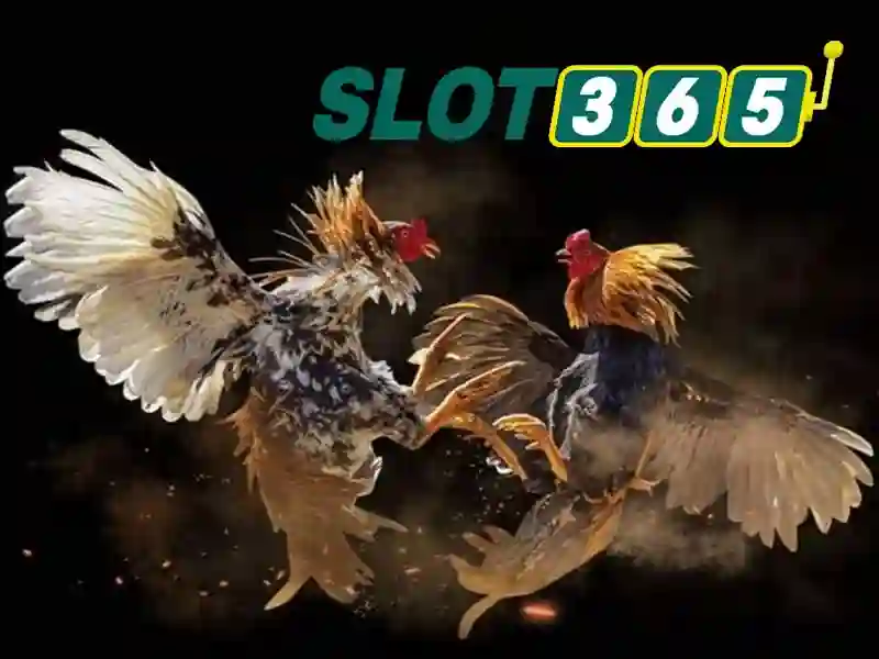 Slot365 – Nền tảng chơi slot trực tuyến đáng tin cậy