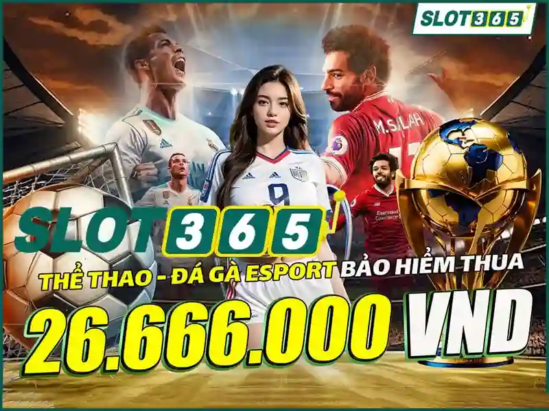Slot365 là gì và tại sao thu hút người chơi