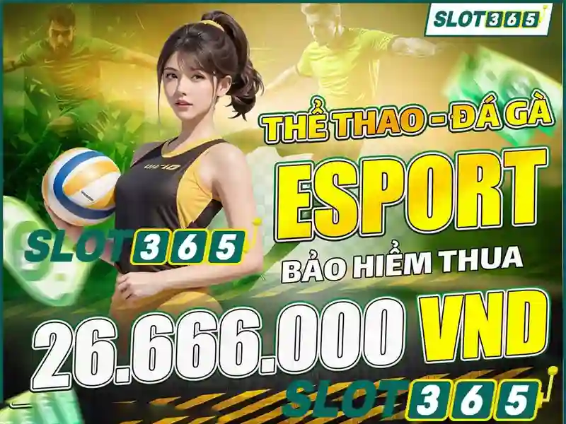 Hệ thống thanh toán và hỗ trợ