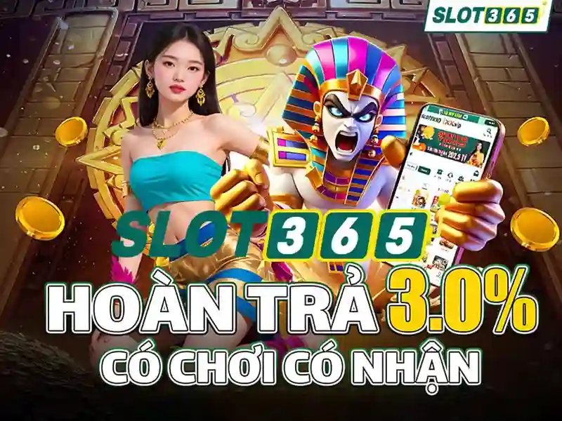 Tổng quan slot365 tái