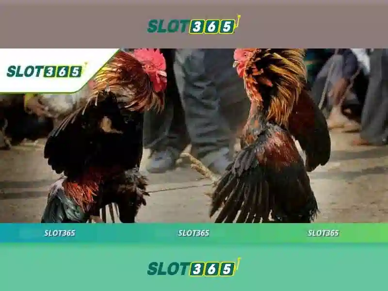 Nguồn gốc và sứ mệnh của nạp tiền Slot365