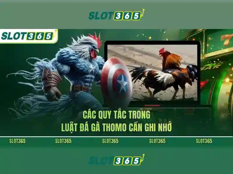 asia slot365: Trải nghiệm và đánh giá chi tiết