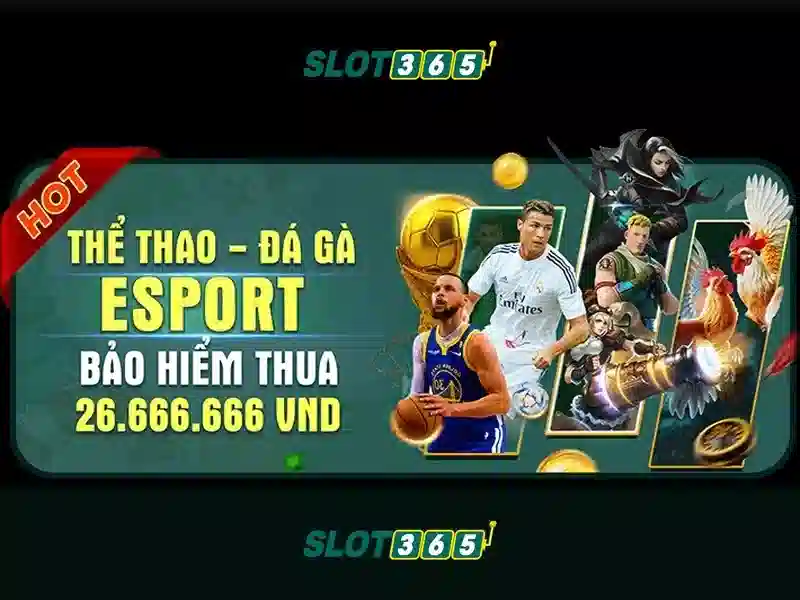 Slot365 - Đánh giá và trải nghiệm