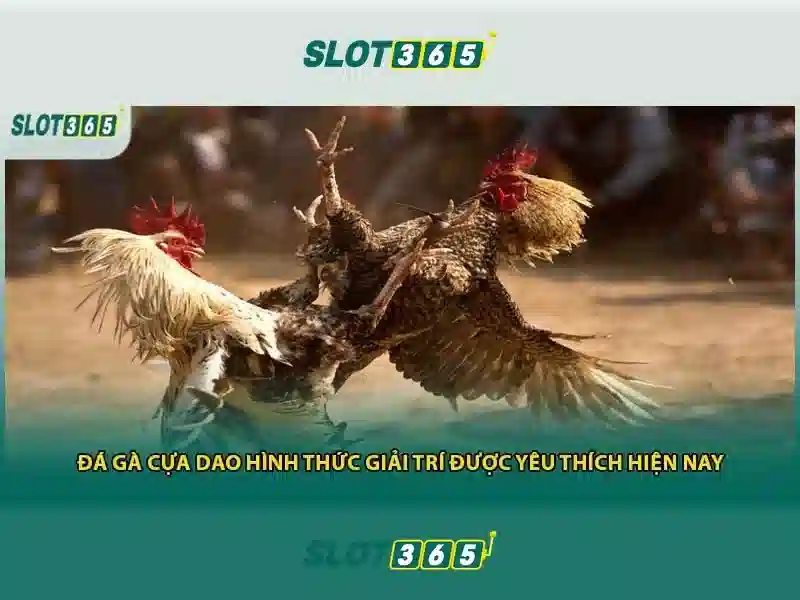 slot365. com – Trải nghiệm và tải Slot365
