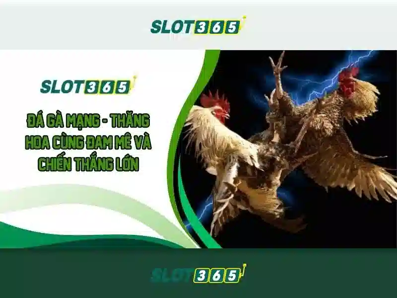 Slot365: Hướng dẫn và đánh giá tổng quan