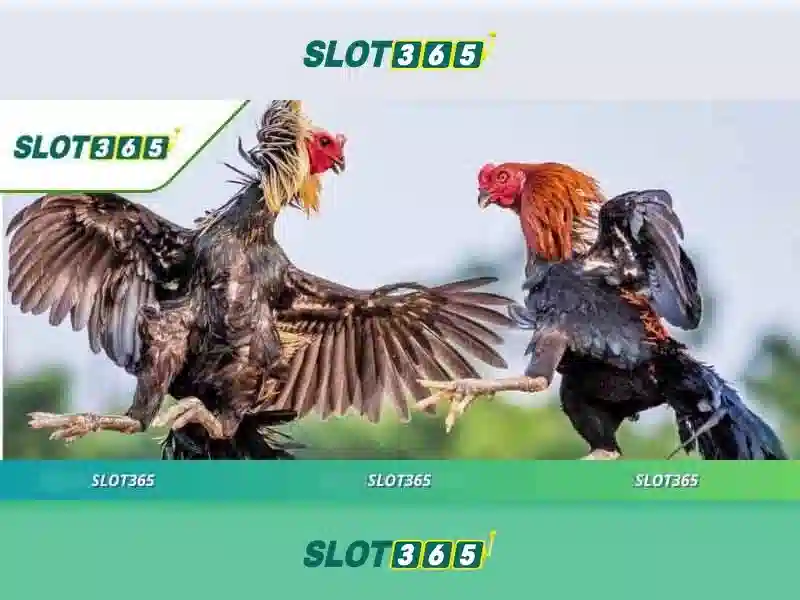 heylink slot365 login – Trải nghiệm Slot365 chính thức
