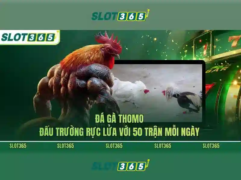 Danh sách trò chơi và nhà cung cấp