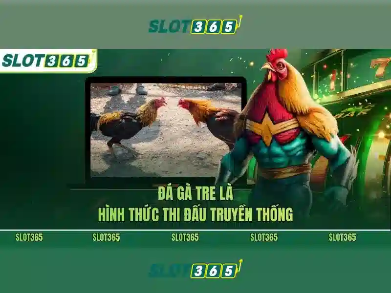 Các sản phẩm và dịch vụ chính liên quan hướng dẫn Slot365