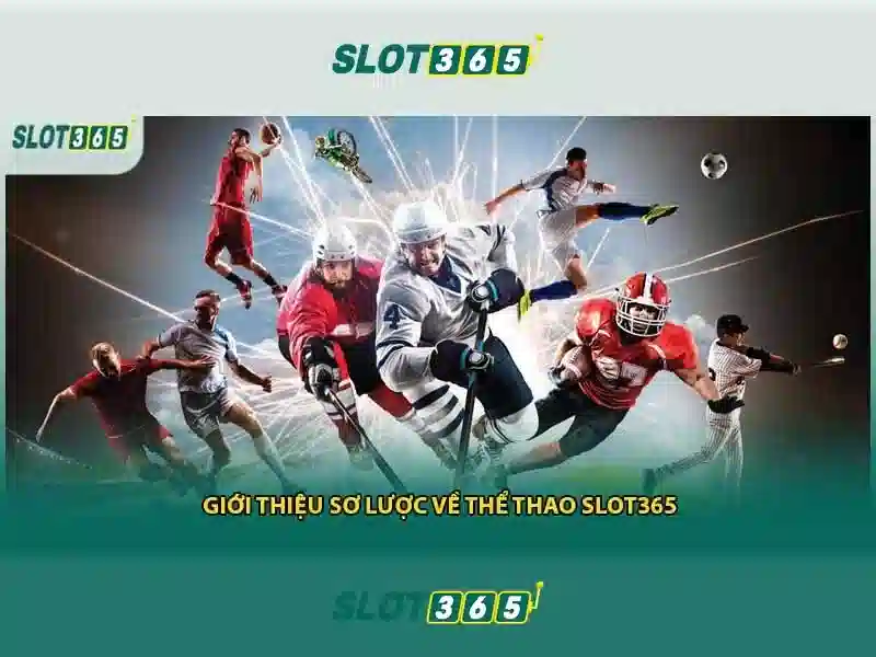 slot365 app – Tổng quan và giá trị cốt lõi cho người dùng
