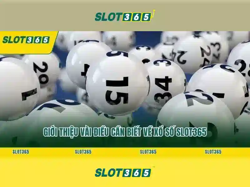 Slot365: Tổng quan về nền tảng trò chơi xèng trực tuyến
