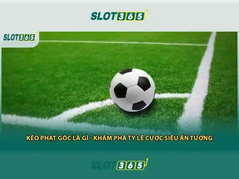 Slot365: Trải nghiệm máy đánh bạc trực tuyến hàng đầu