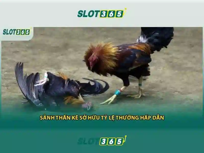 slot365 game: Trải nghiệm đỉnh cao và thương hiệu Slot365