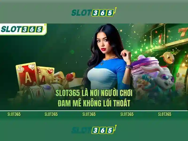 Slot365 là gì? - Nền tảng giải trí trực tuyến