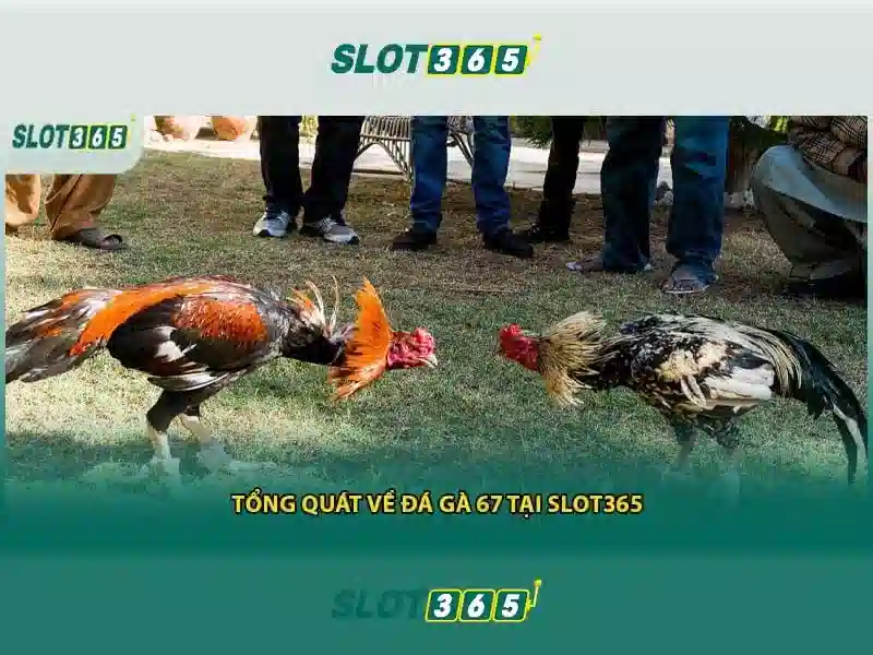 Slot365 có lừa đảo không: Đánh giá chi tiết