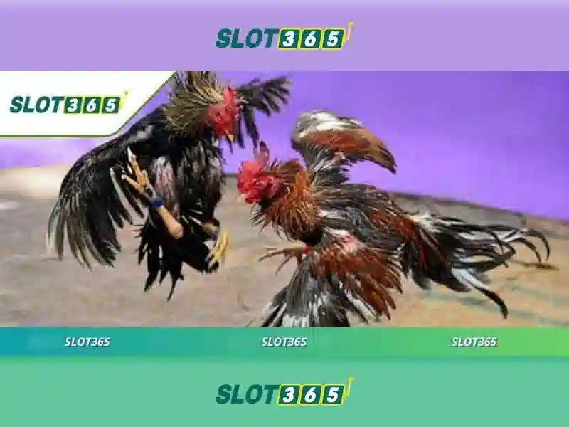 Tổng quan Slot365 nổ hũ – giá trị cốt lõi