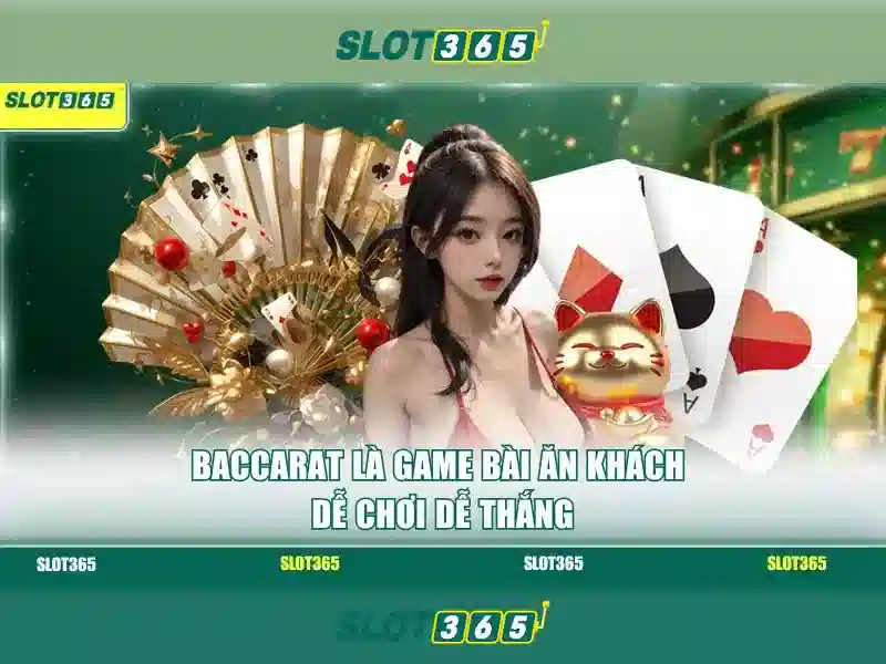 Trải nghiệm người dùng và giao diện