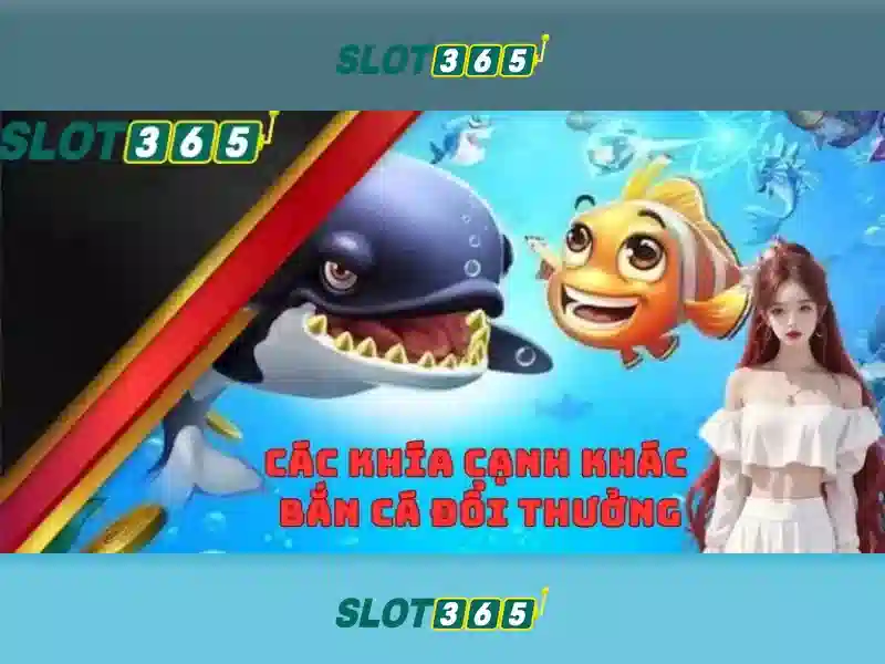 An toàn và thanh toán