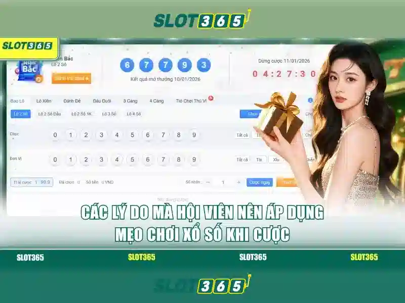 Slot365 là gì?