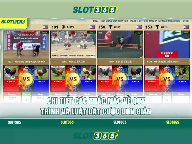Slot365: Tổng quan và trải nghiệm chơi trực tuyến