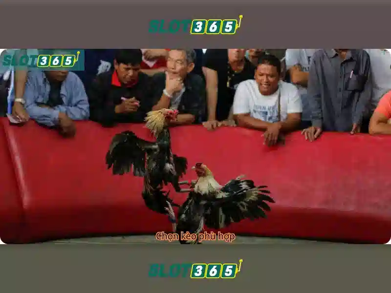 Slot365 - Nền tảng máy đánh bạc trực tuyến hàng đầu