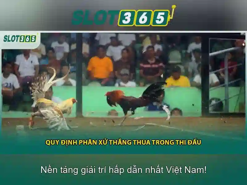 Slot365: Nền tảng uy tín và trải nghiệm Slot365