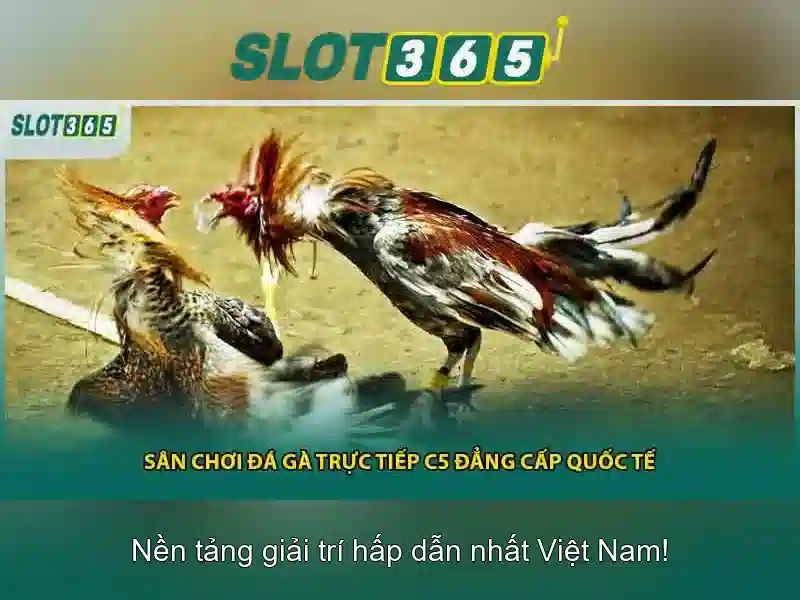 slot365 login link alternatif – Tổng quan chủ đề và giá trị cốt lõi