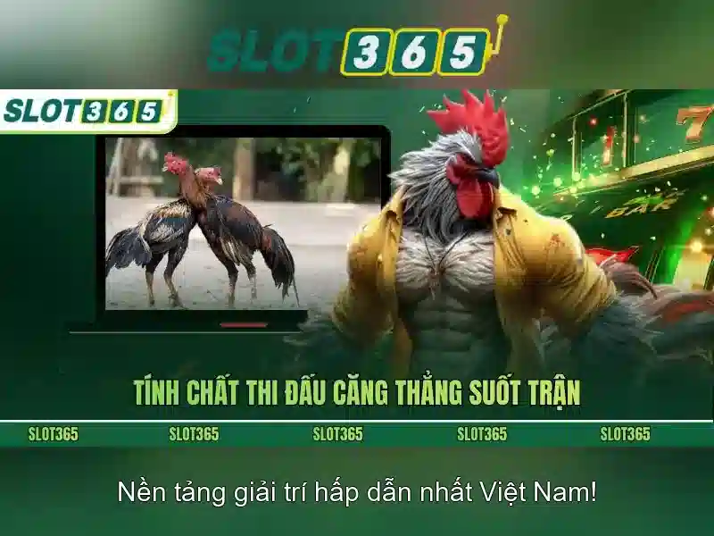 An toàn và thanh toán