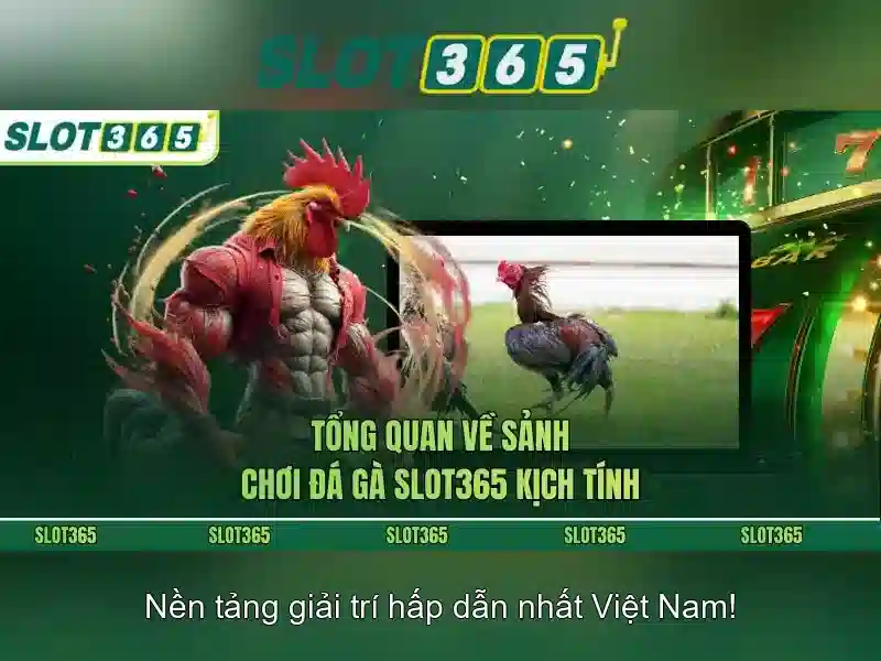 An toàn và hỗ trợ khách hàng