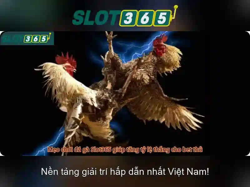 Slot365 app – Trải nghiệm uy tín và an toàn