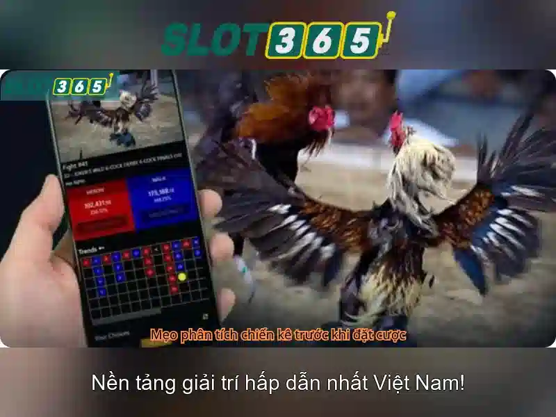 Nền tảng Slot365 và hệ sinh thái