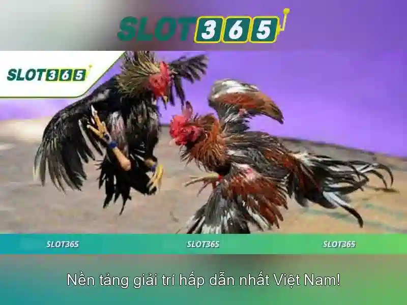 Cảm nhận người chơi khi tham gia Slot365