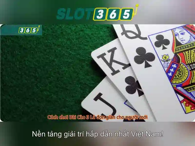 Kết luận