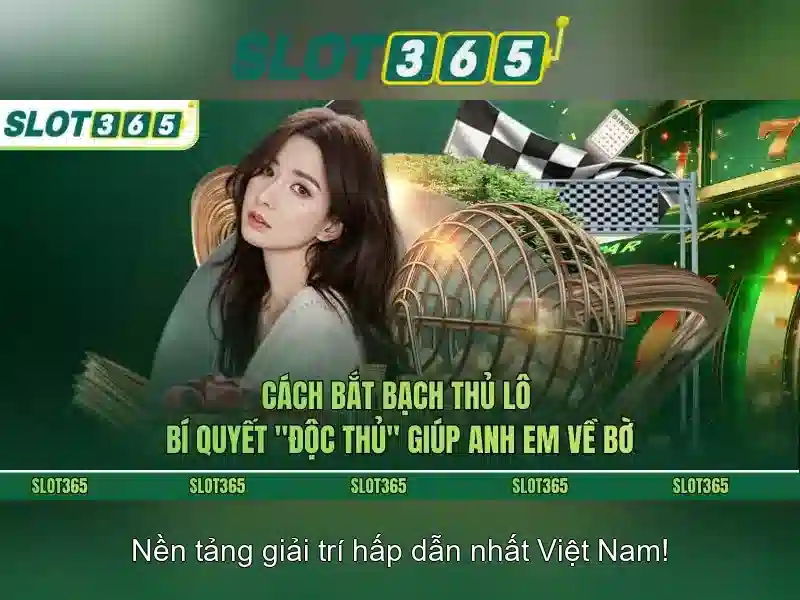 Slot365 – Nền tảng casino trực tuyến và trải nghiệm giải trí