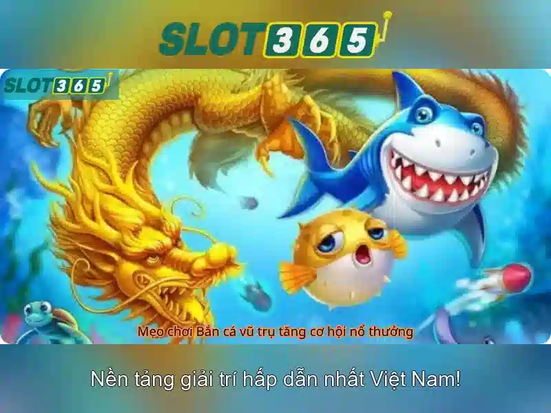 Slot365 la gi va tai sao thu hut nguoi choi