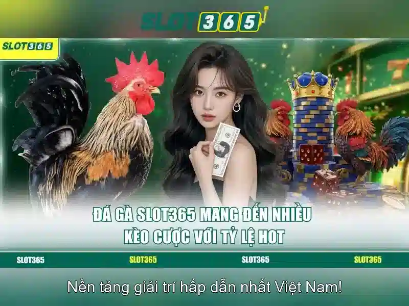 Slot365 app – Trải nghiệm chơi đỉnh cao với Slot365
