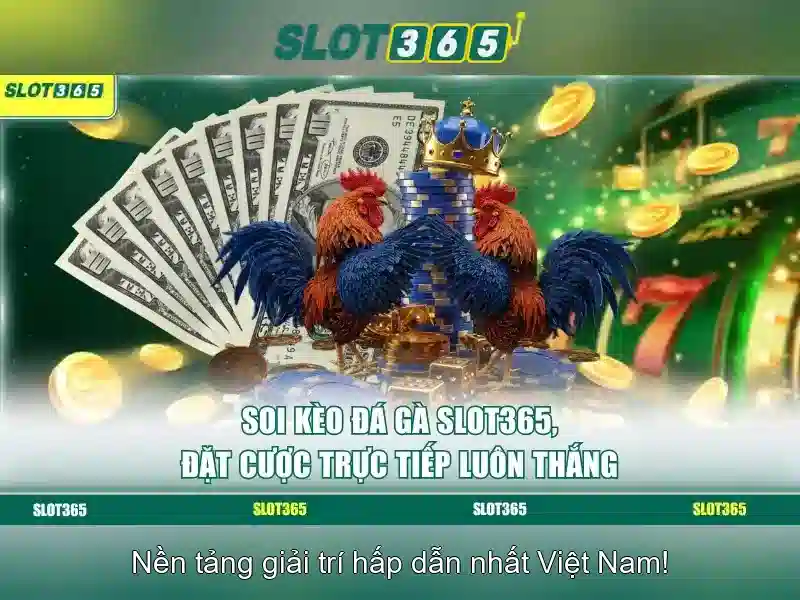 <!--IMG_PLACEHOLDER alt>Sản phẩm và dịch vụ cốt lõi của Slot365 uy tín không-->