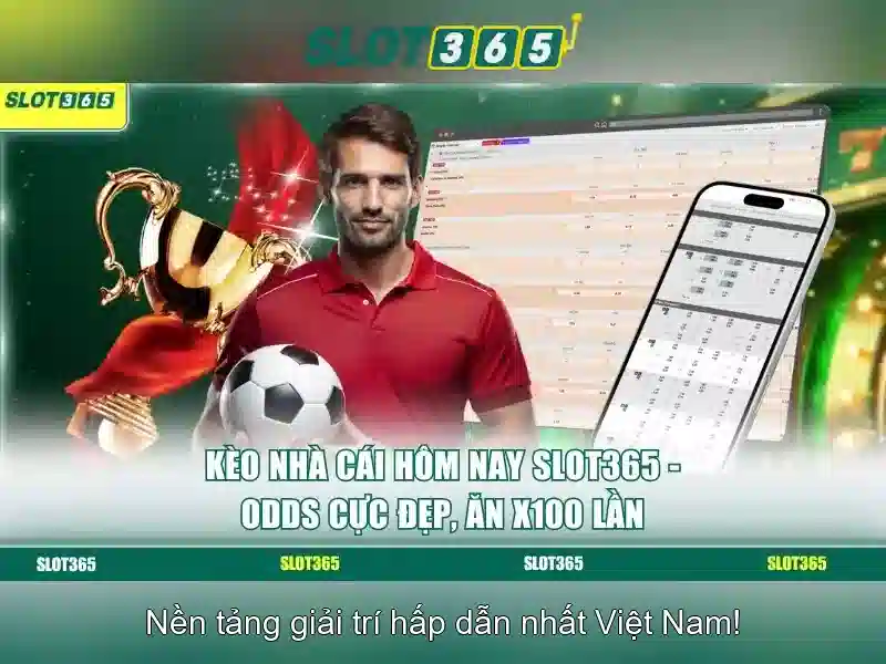 Hỗ trợ khách hàng và dịch vụ