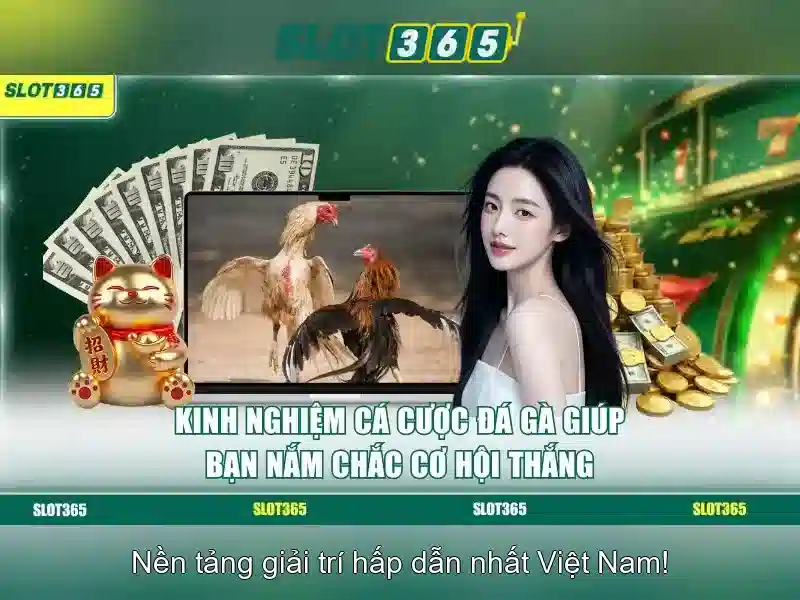 Các đặc điểm nổi bật của Slot365