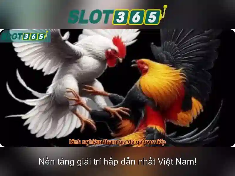 Tại sao chọn Slot365