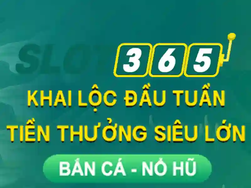 Giao diện người dùng trực quan và dễ tiếp cận