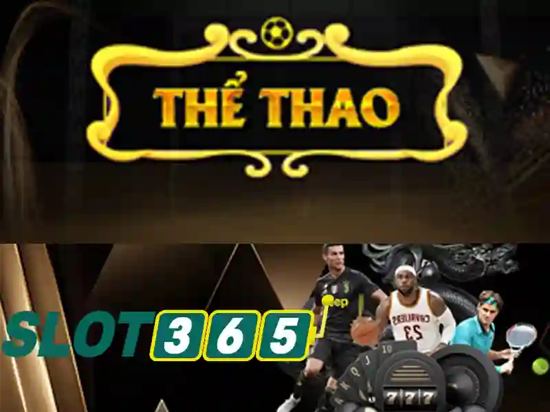 Slot365: Đánh giá và trải nghiệm người chơi