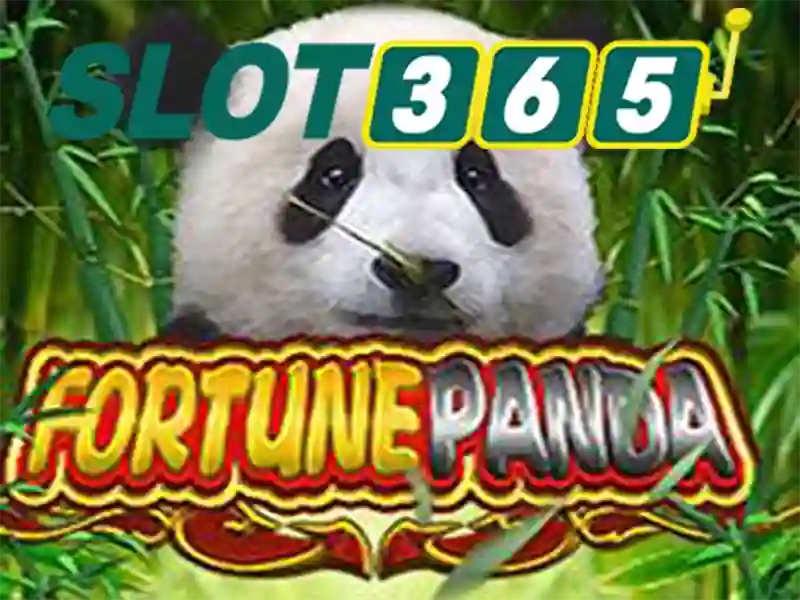 slot365 bet – Khám phá casino Slot365 và hướng dẫn
